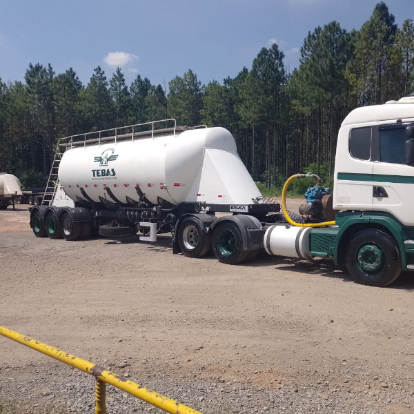 Transportadora tebas